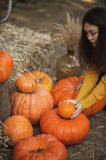 plus size halloween socks fall 2026 styling guide moonwoodwear